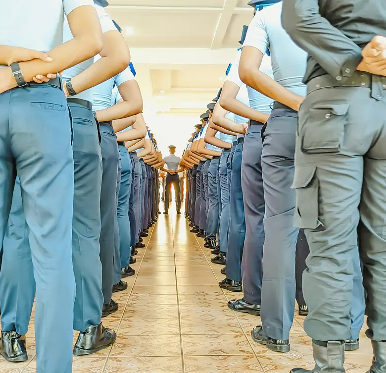 Adiestramiento y formación